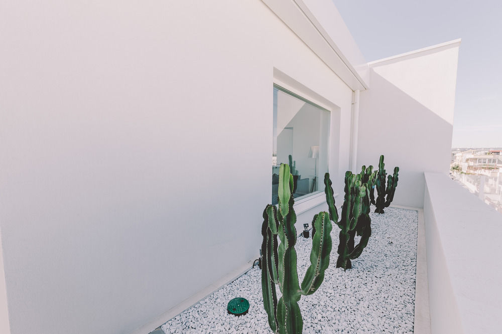 Suite 10 Home Design & Spa Polignano a Mare Eksteriør bilde
